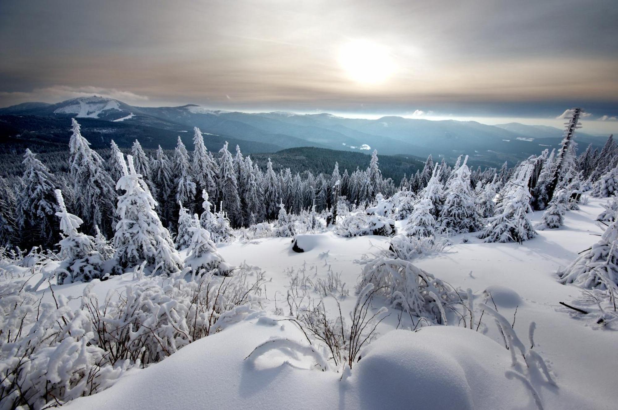 Sonnenhof Resort Bayerischer Wald Lam Dış mekan fotoğraf