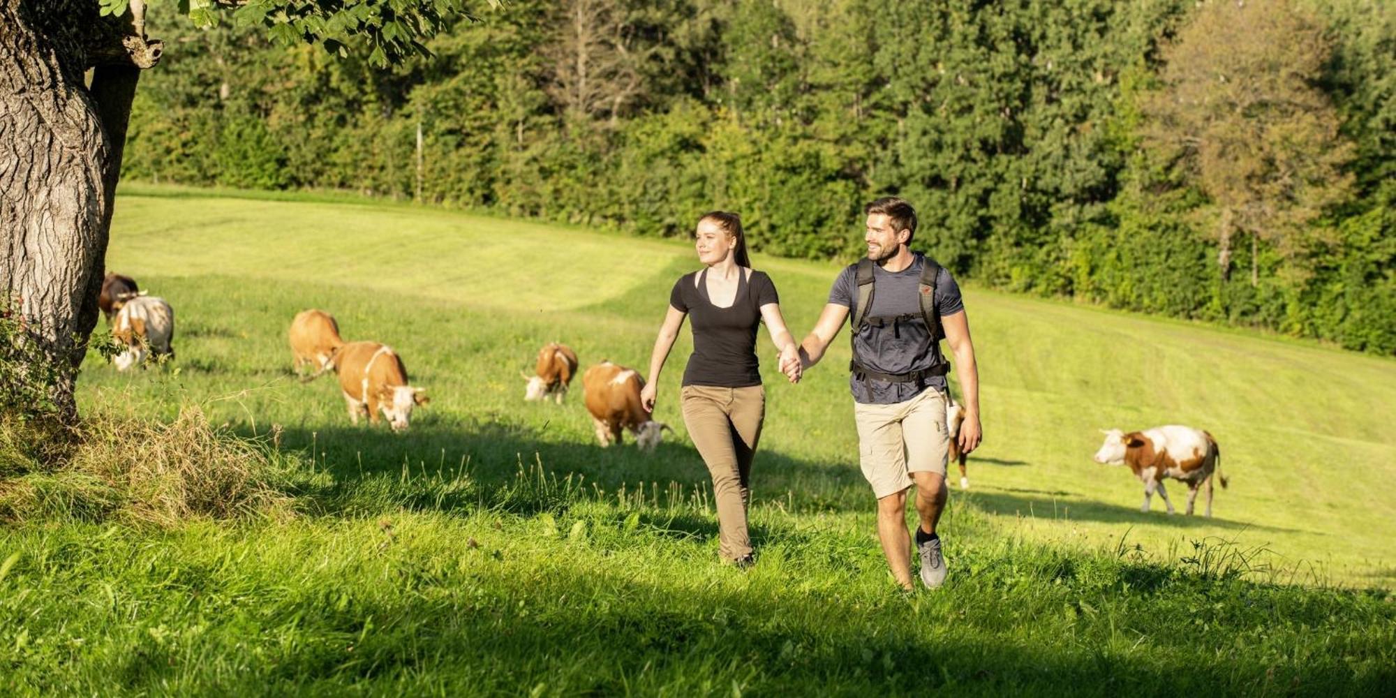 Sonnenhof Resort Bayerischer Wald Lam Dış mekan fotoğraf